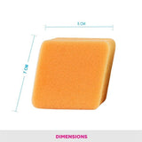 VEGA CLEANSING SPONGE NR25