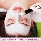 VEGA FACE PACK BRUSH HV-27